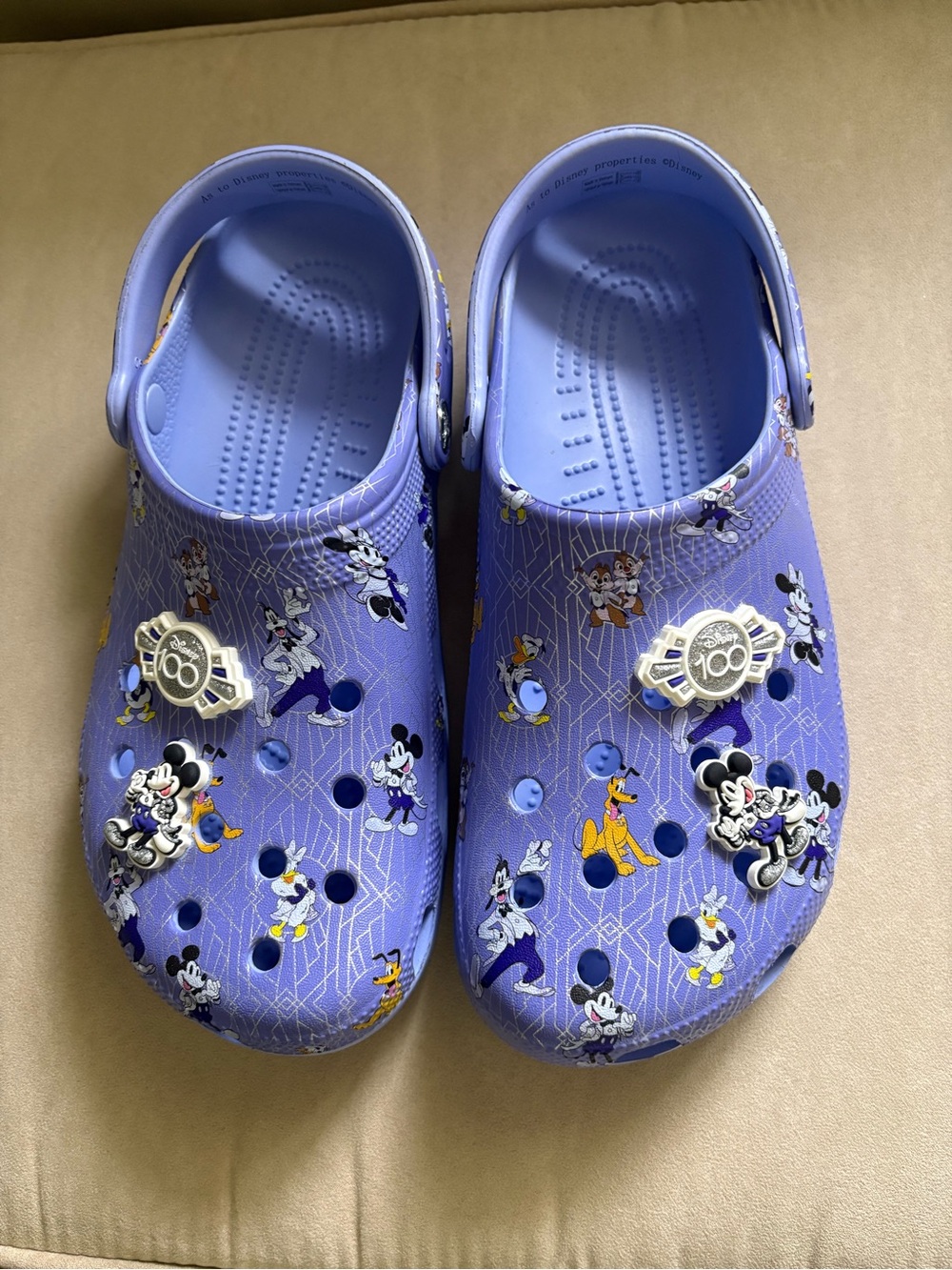 CROCS Kids Purple Disney Character Clogs with Jibbitz